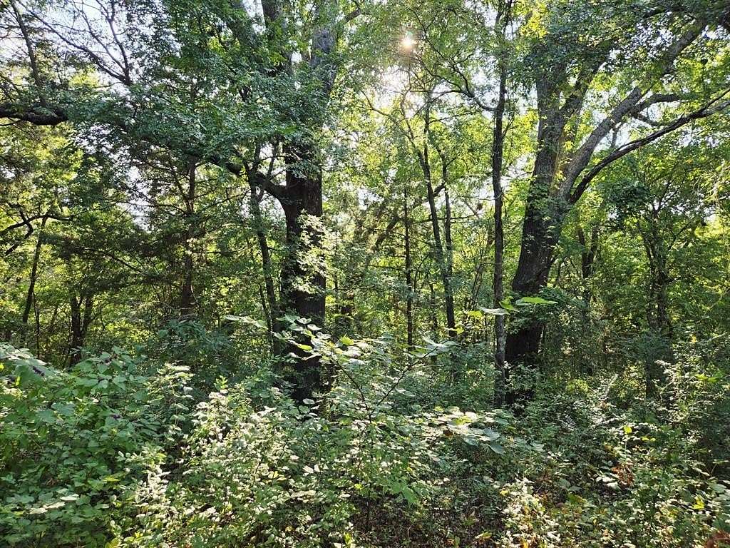 7.36 Acres of Land for Sale in Whitesboro, Texas