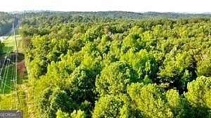16.2 Acres of Land for Sale in Dawsonville, Georgia