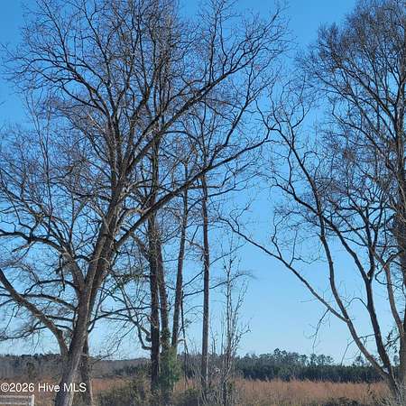 120 Acres of Land for Sale in Burgaw, North Carolina