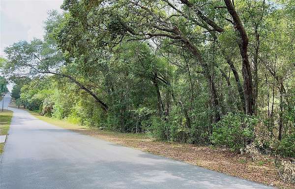 1 Acre of Residential Land for Sale in Lecanto, Florida