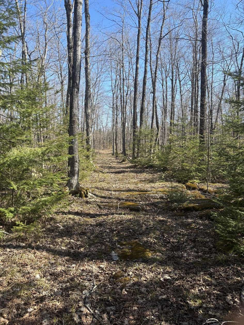 5 Acres of Land for Sale in Drummond Island, Michigan