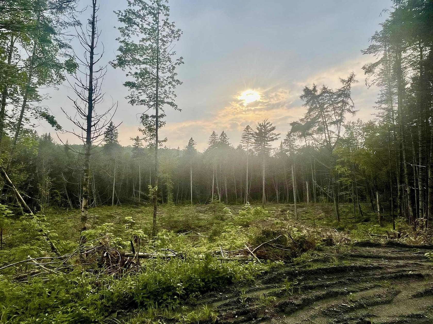 2.3 Acres of Land for Sale in Sutton, Vermont