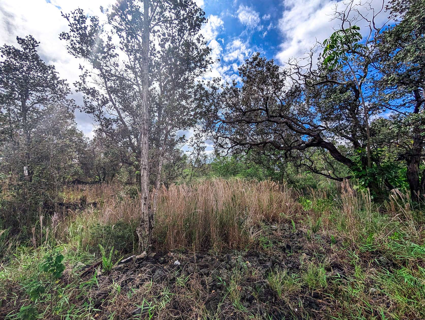 1 Acre of Land for Sale in Hawaiian Ocean View, Hawaii