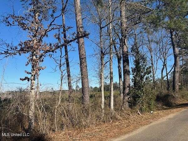 42 Acres of Recreational Land for Sale in Summit, Mississippi