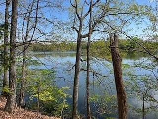 1 Acre of Residential Land for Sale in Estill Springs, Tennessee