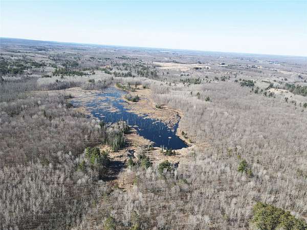 80 Acres of Recreational & Residential Land for Sale in Birchwood, Wisconsin