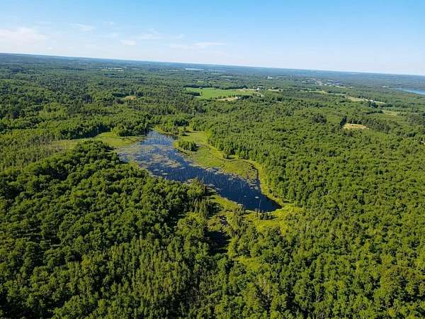 80 Acres of Recreational & Residential Land for Sale in Birchwood, Wisconsin