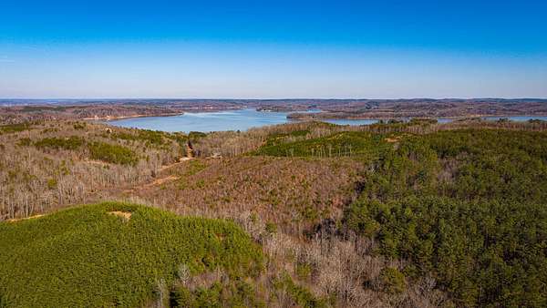 73.6 Acres of Recreational Land for Sale in Iuka, Mississippi