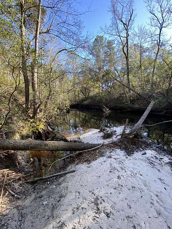 0.47 Acres of Land for Sale in Sopchoppy, Florida