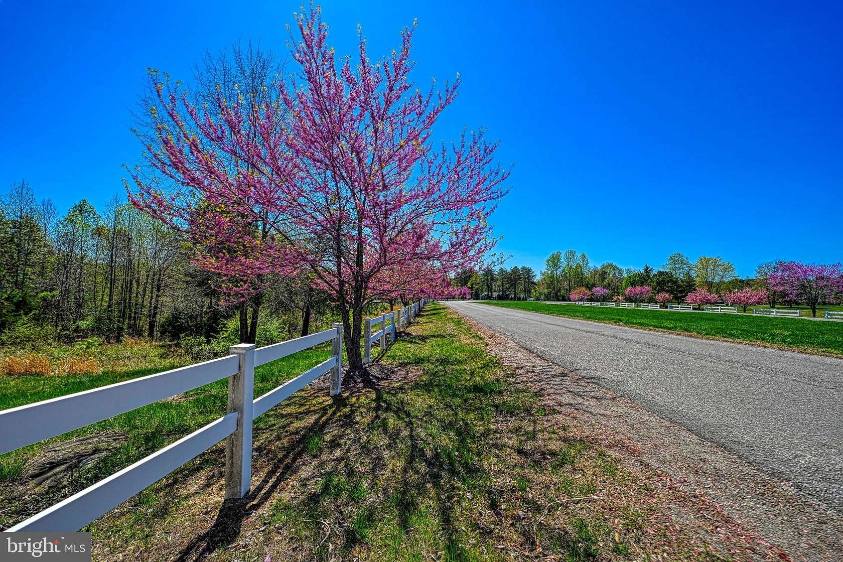 2.26 Acres of Residential Land for Sale in Mineral, Virginia