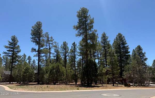 0.32 Acres of Residential Land for Sale in Show Low, Arizona