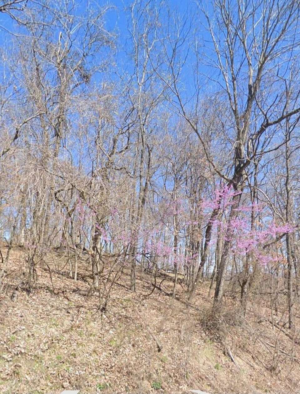 5.16 Acres of Residential Land for Sale in Holiday Island, Arkansas