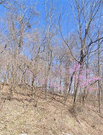 5.16 Acres of Residential Land for Sale in Holiday Island, Arkansas