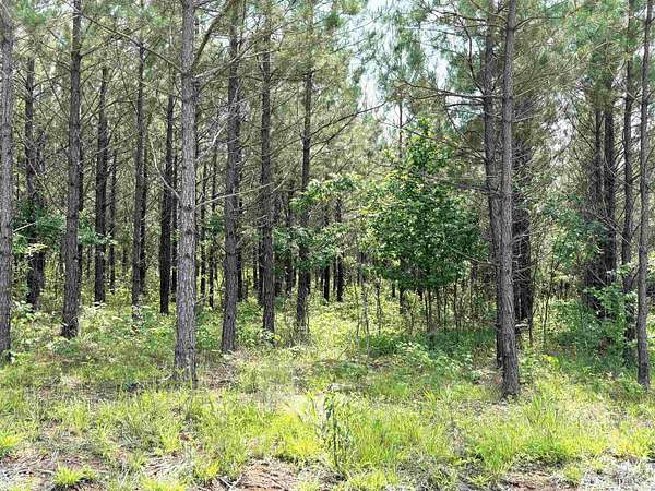3 Acres of Residential Land for Sale in Sheridan, Arkansas