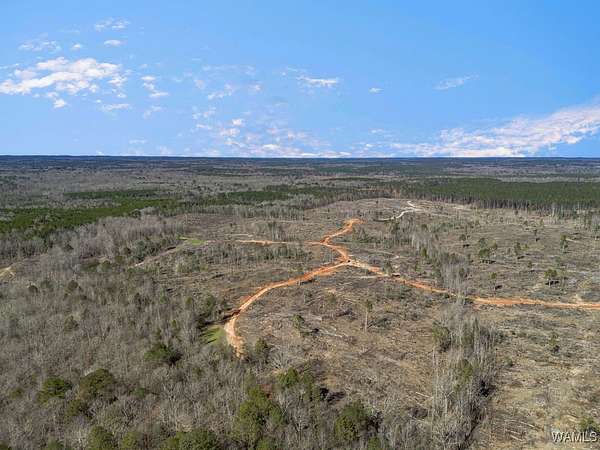 120 Acres of Recreational Land for Sale in Ward, Alabama