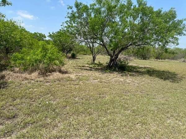 2 Acres of Residential Land for Sale in Orange Grove, Texas