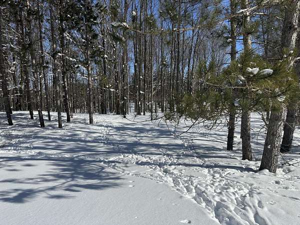 20 Acres of Recreational Land for Sale in Cadillac, Michigan