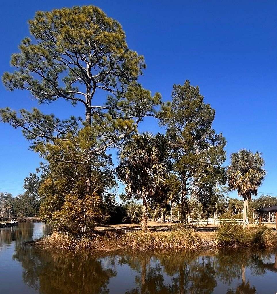 0.17 Acres of Land for Sale in Suwannee, Florida