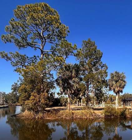 0.17 Acres of Land for Sale in Suwannee, Florida