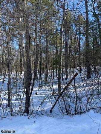 2 Acres of Residential Land for Sale in Sandyston Township, New Jersey