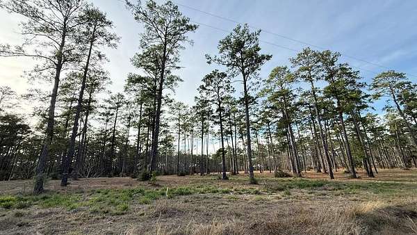 1.14 Acres of Residential Land for Sale in Brookeland, Texas