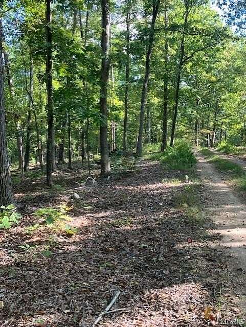 5.2 Acres of Land for Sale in Fredericktown, Missouri