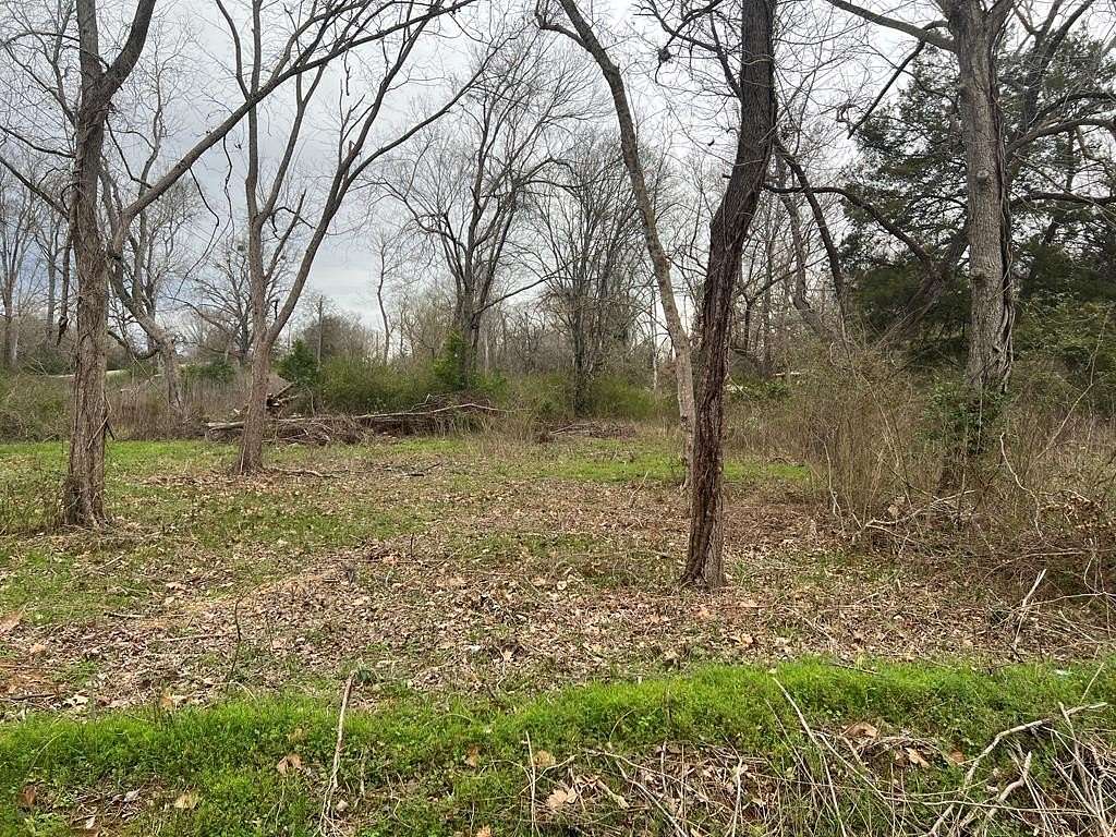 0.14 Acres of Residential Land for Sale in Palestine, Texas