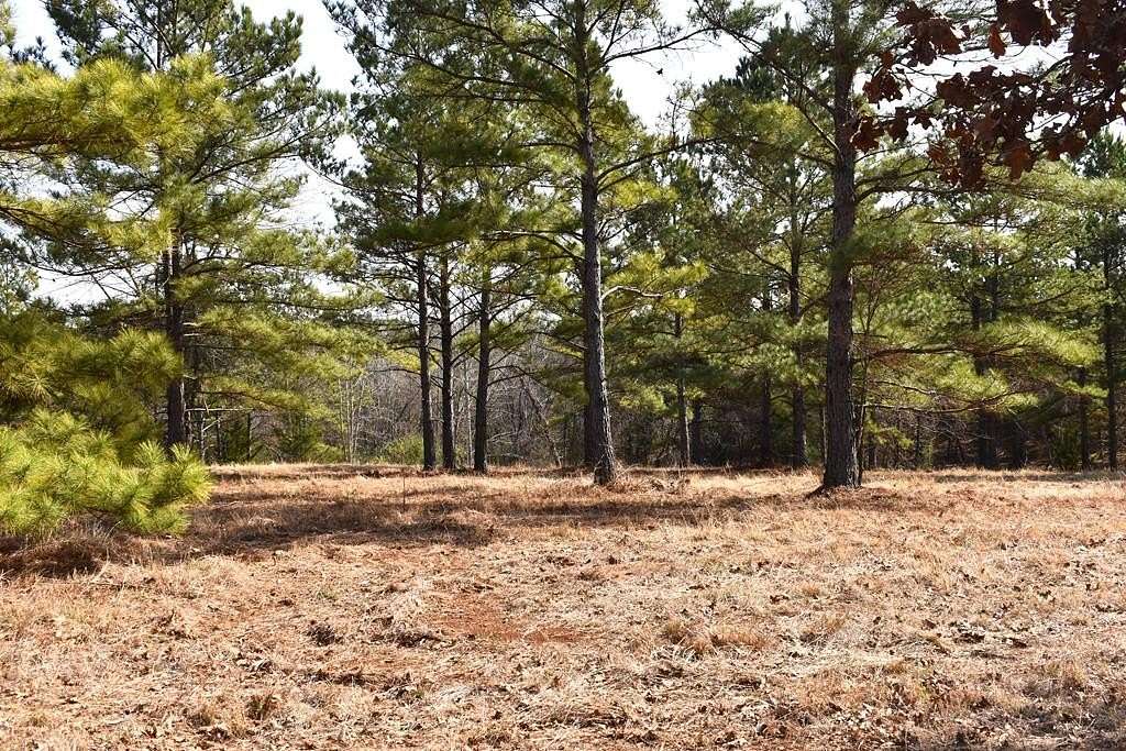 3 Acres of Residential Land for Sale in Palestine, Texas