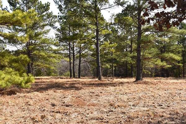 3 Acres of Residential Land for Sale in Palestine, Texas