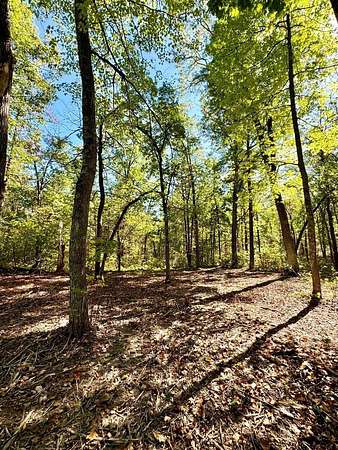 2.72 Acres of Residential Land for Sale in Nisswa, Minnesota