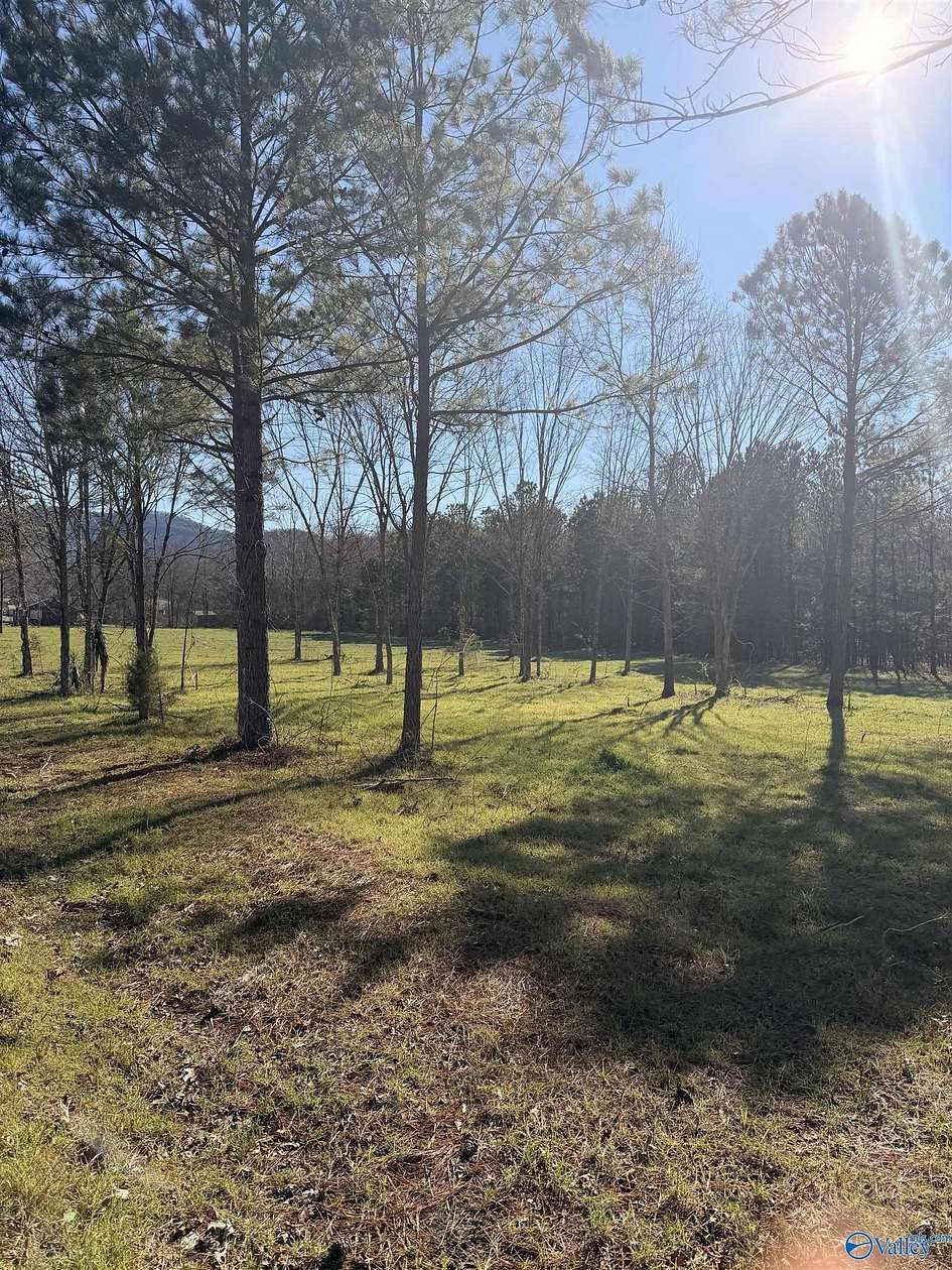 1.48 Acres of Residential Land for Sale in Piedmont, Alabama