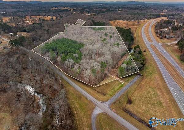 20 Acres of Agricultural Land for Auction in Hokes Bluff, Alabama