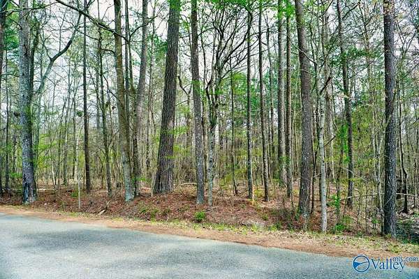 Residential Land for Auction in Rainbow City, Alabama