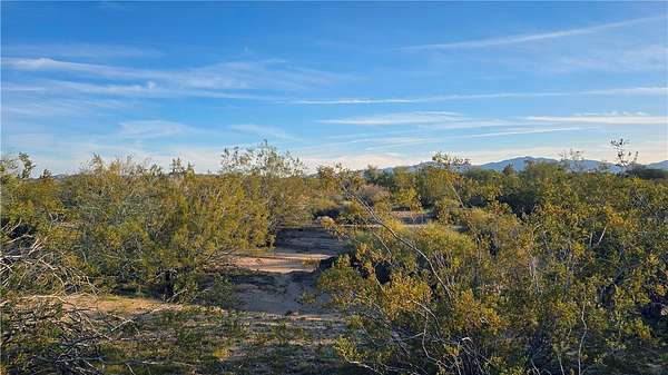 5 Acres of Residential Land for Sale in Yucca, Arizona