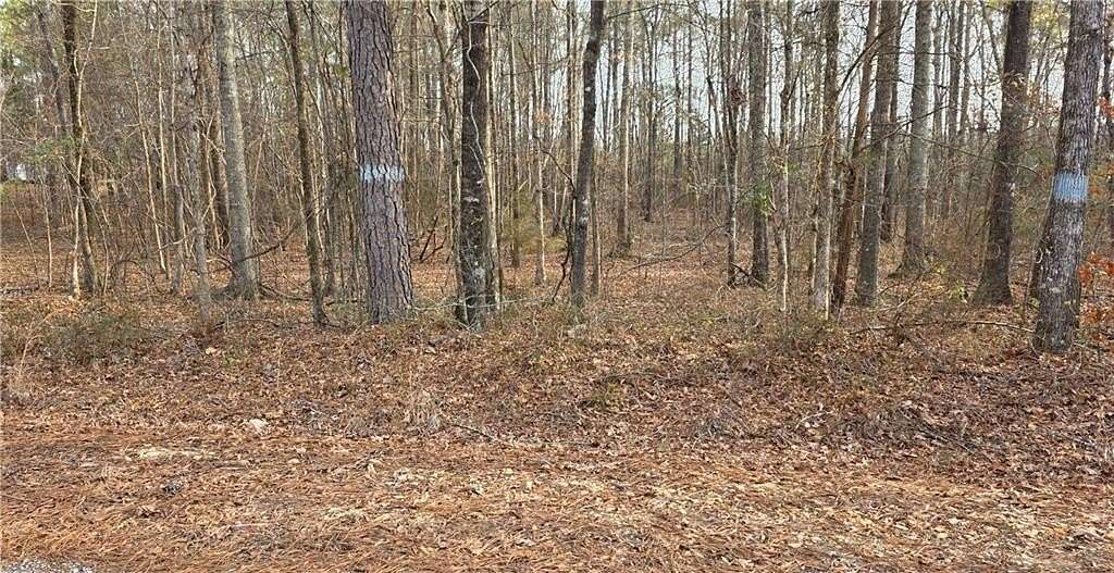 1.2 Acres of Residential Land for Sale in Salem, Alabama