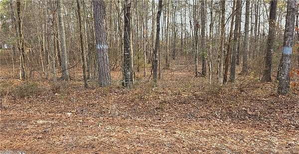1.2 Acres of Residential Land for Sale in Salem, Alabama