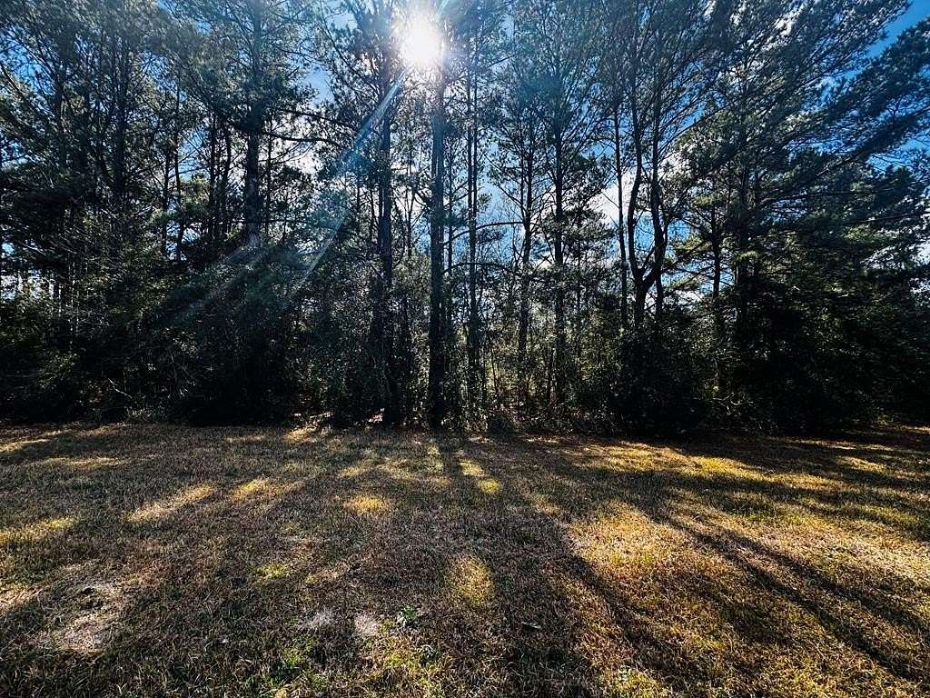 3.1 Acres of Land for Sale in Caesar, Mississippi
