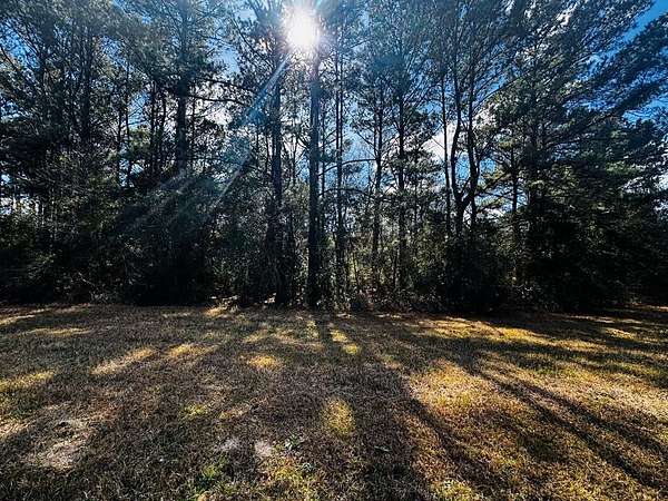 3.1 Acres of Land for Sale in Caesar, Mississippi