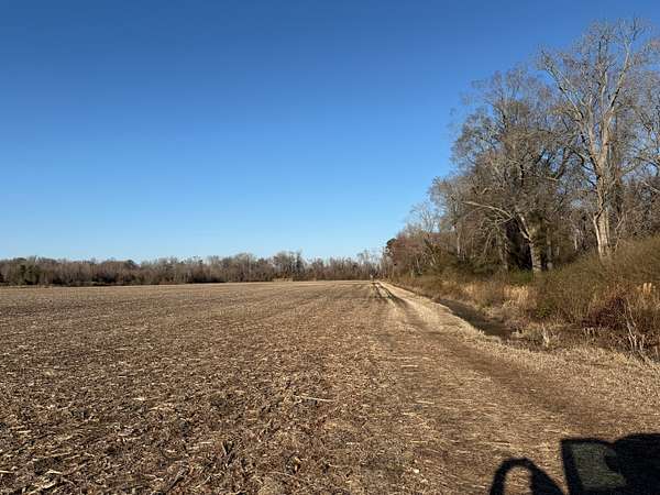 70 Acres of Land for Sale in Pantego, North Carolina