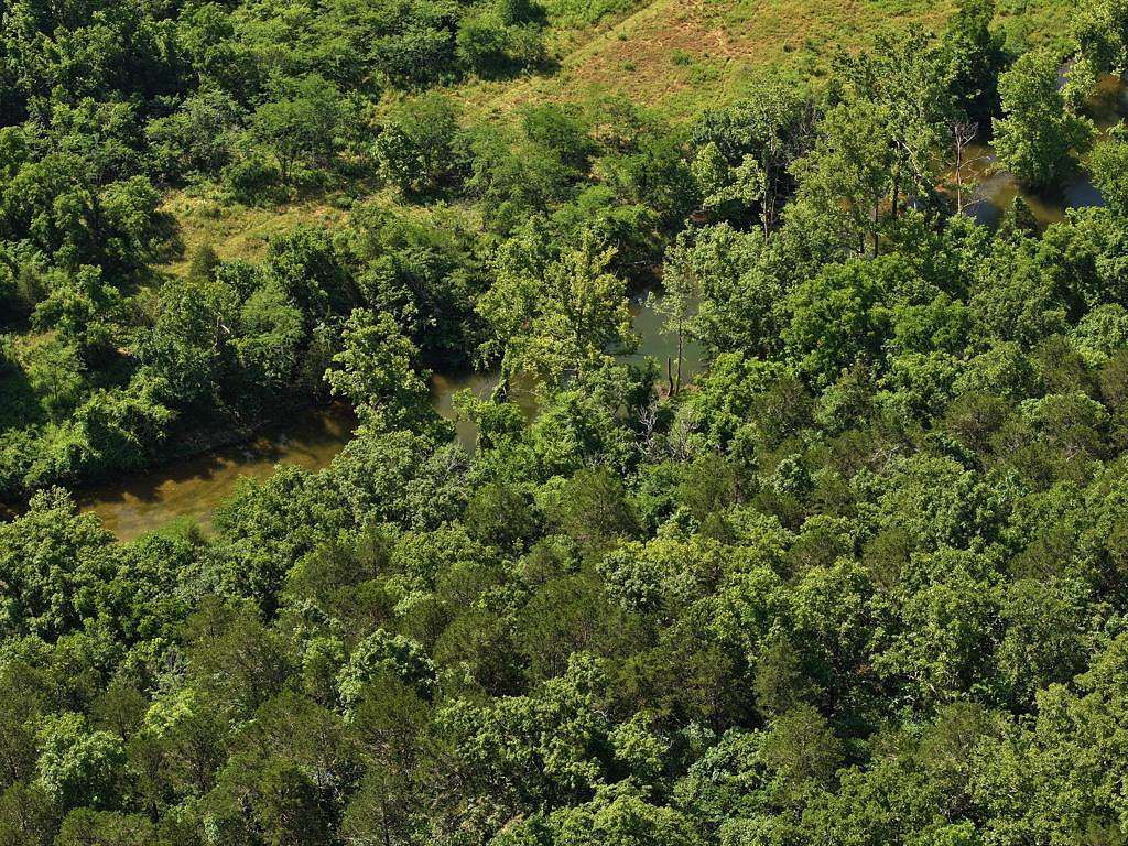 40 Acres of Land for Sale in Gainesville, Missouri