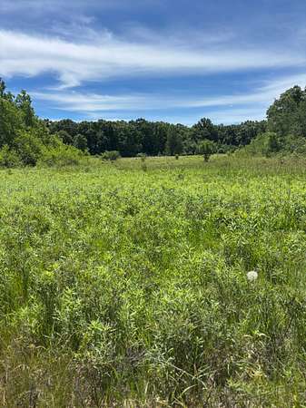 68.3 Acres of Land for Sale in Tomah, Wisconsin