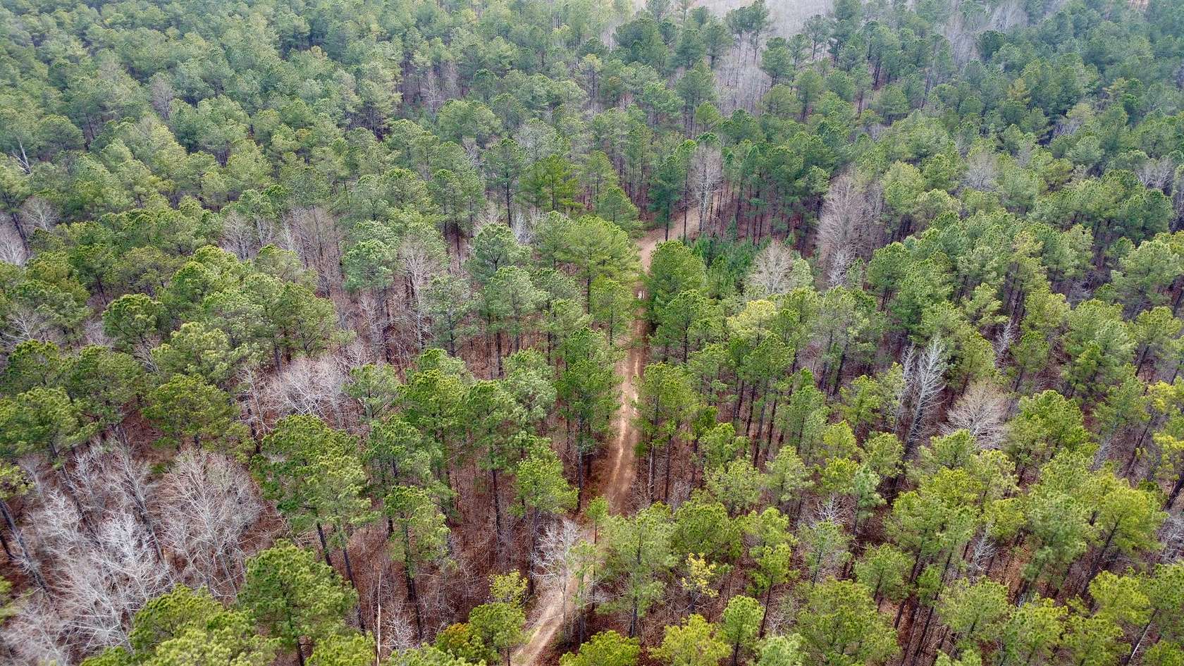 105 Acres of Recreational Land for Sale in Roanoke, Alabama