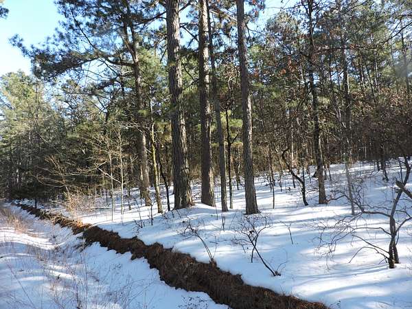 166 Acres of Recreational Land & Farm for Sale in Mansfield, Arkansas