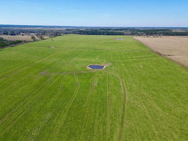 148 Acres of Land for Sale in Poplarville, Mississippi
