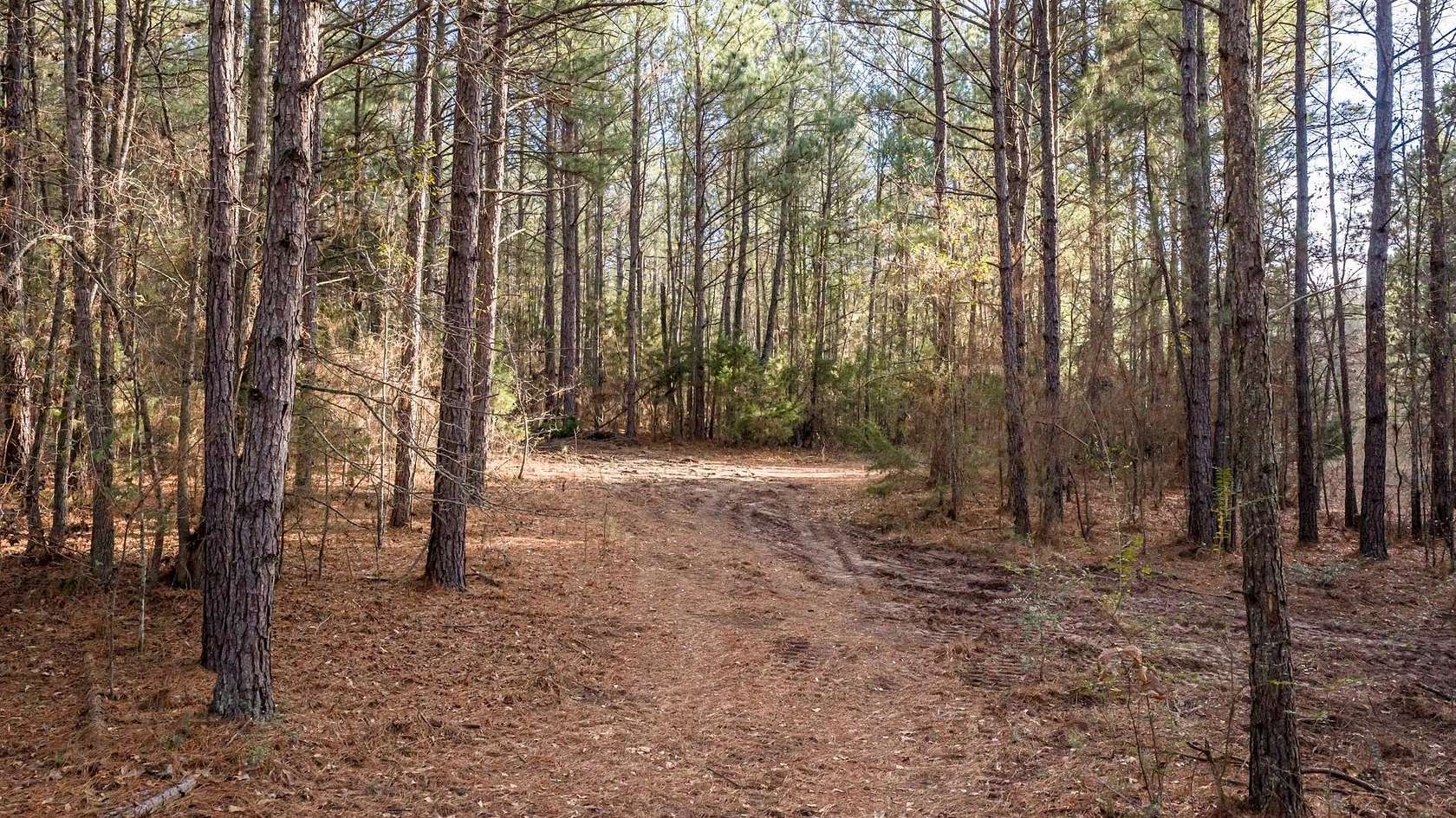 9.42 Acres of Land for Sale in Avinger, Texas