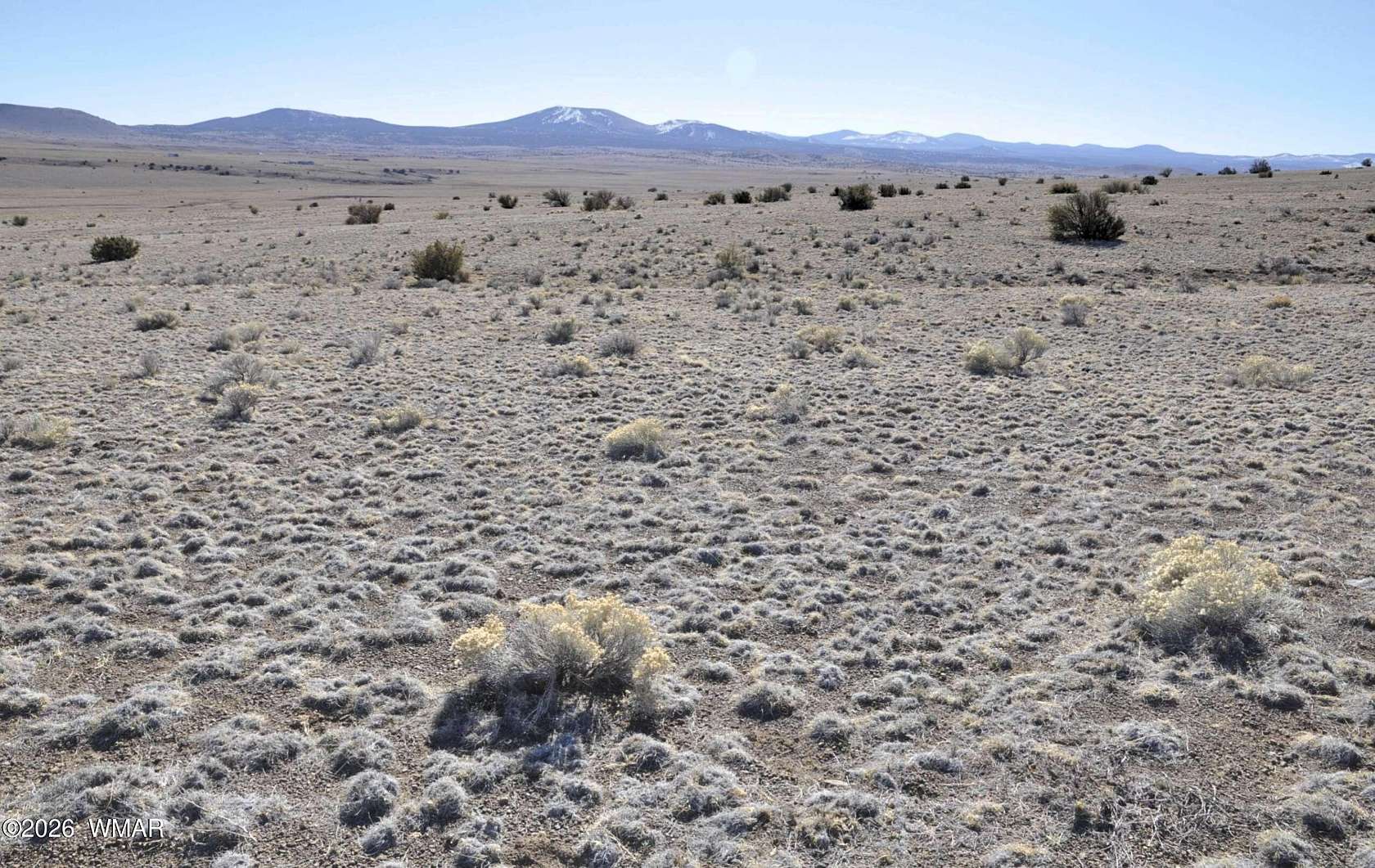 38.1 Acres of Recreational Land for Sale in Concho, Arizona