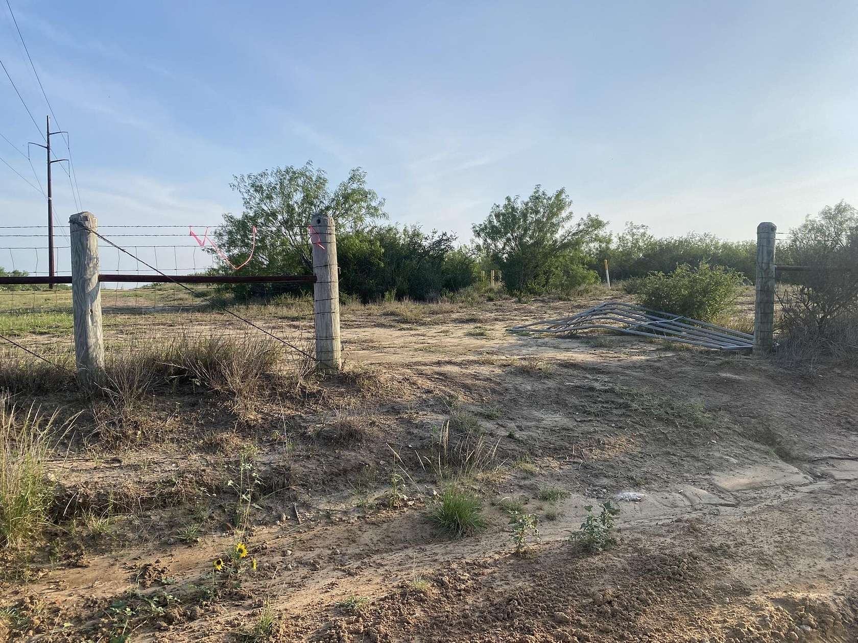 11 Acres of Land for Sale in Encinal, Texas