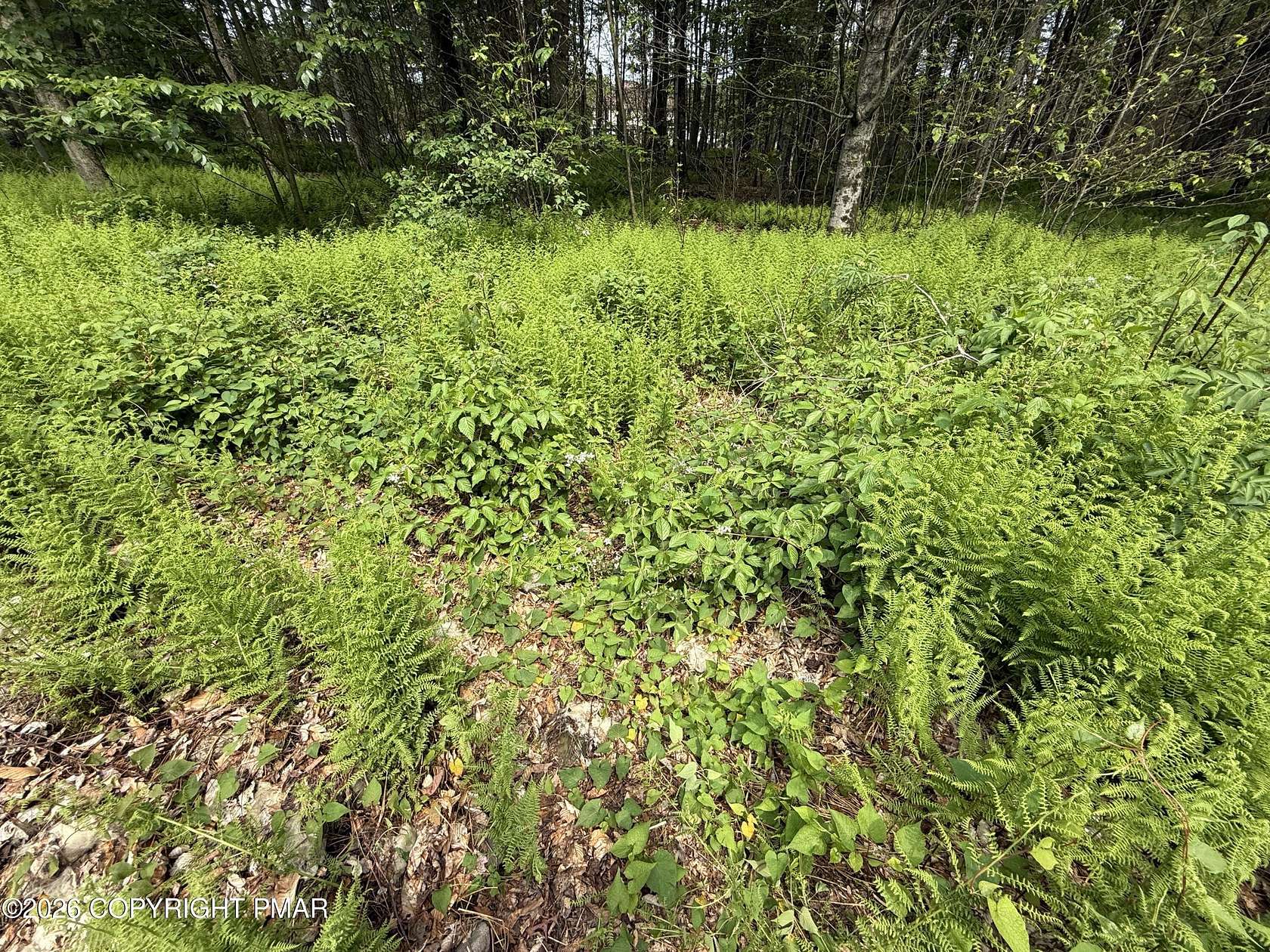 1 Acre of Residential Land for Sale in Blakeslee, Pennsylvania