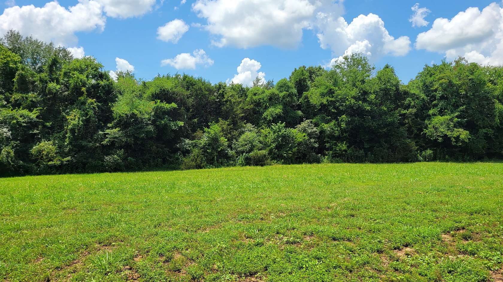6.35 Acres of Residential Land for Sale in Shelbyville, Tennessee