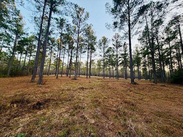 1 Acre of Residential Land for Sale in Camden, Alabama